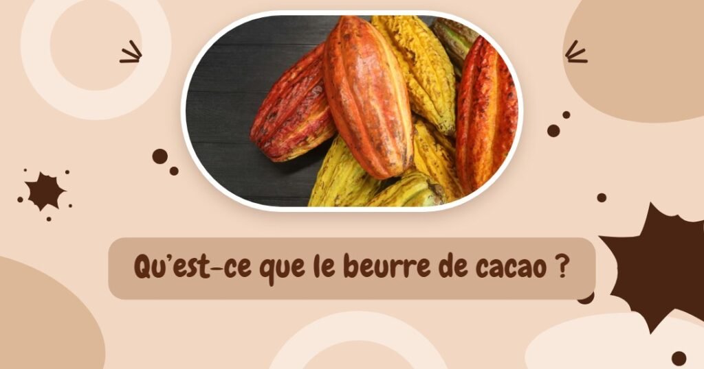 Cabosses de cacao ouvertes, avec la mention Qu’est-ce que le beurre de cacao ?
